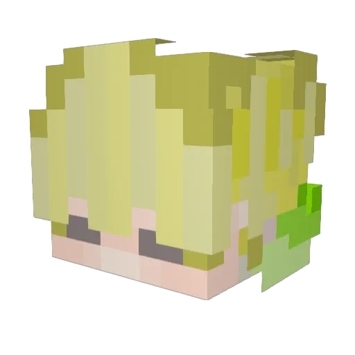 Jake_489 Minecraft avatar head, 3D render