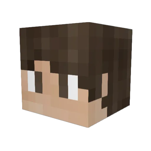 Jake_B15 Minecraft avatar head, 3D render
