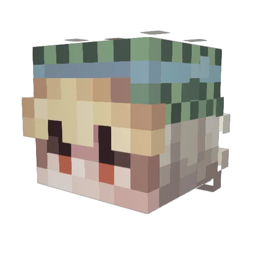 Jake_Craft5 Minecraft avatar head, 3D render