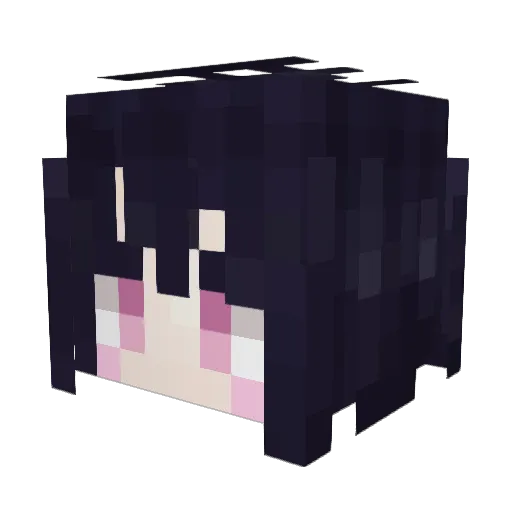 Jake_Nira Minecraft avatar head, 3D render