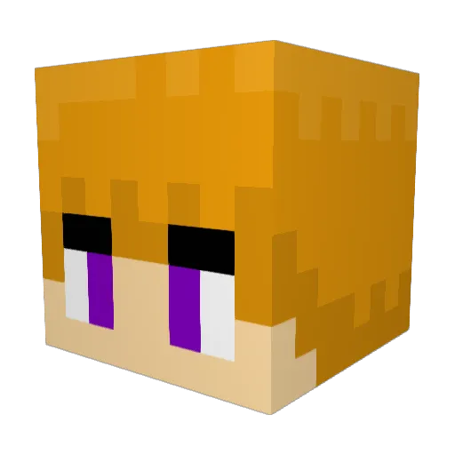 Jake__06 Minecraft avatar head, 3D render