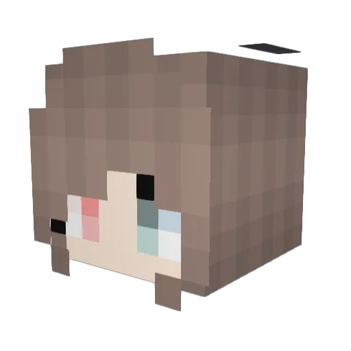 Jake_potato Minecraft avatar head, 3D render