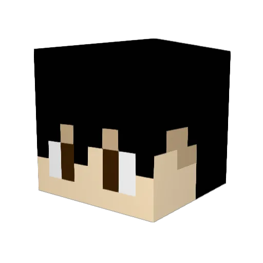Jake_the_hero Minecraft avatar head, 3D render