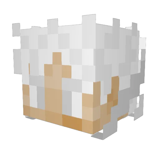 Jakeamas Minecraft avatar head, 3D render