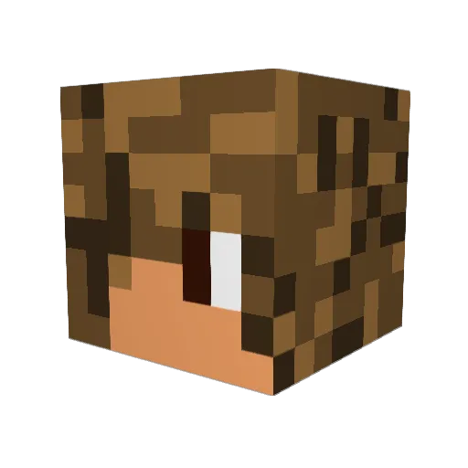Jakee998 Minecraft avatar head, 3D render