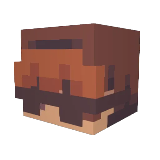 Jakehs7 Minecraft avatar head, 3D render