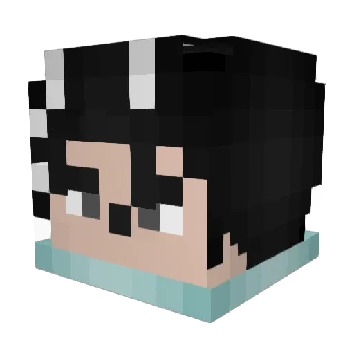Jakelane Minecraft avatar head, 3D render