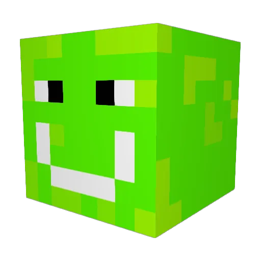 Jakelol_2 Minecraft avatar head, 3D render