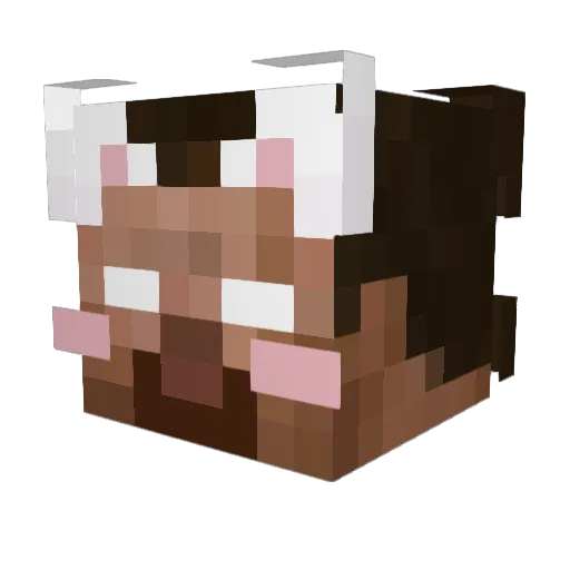 Jakeob__Z Minecraft avatar head, 3D render