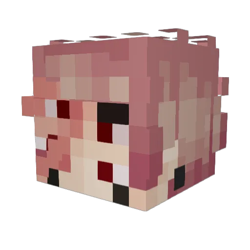 Jakerain8 Minecraft avatar head, 3D render