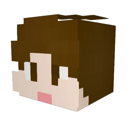 Jakerfon Minecraft avatar head, 3D render