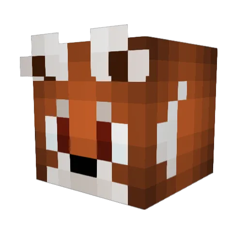 JakesAlwaysRight Minecraft avatar head, 3D render