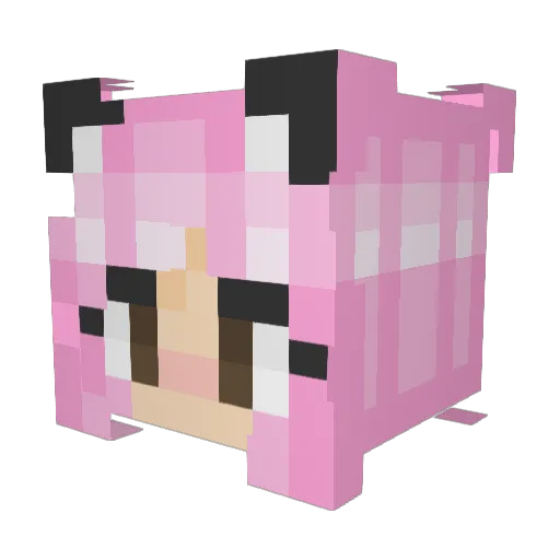 JaketheDank Minecraft avatar head, 3D render