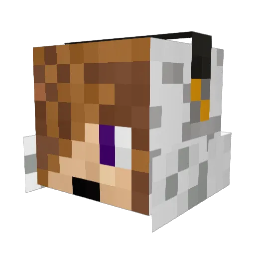 Jaketron6252 Minecraft avatar head, 3D render