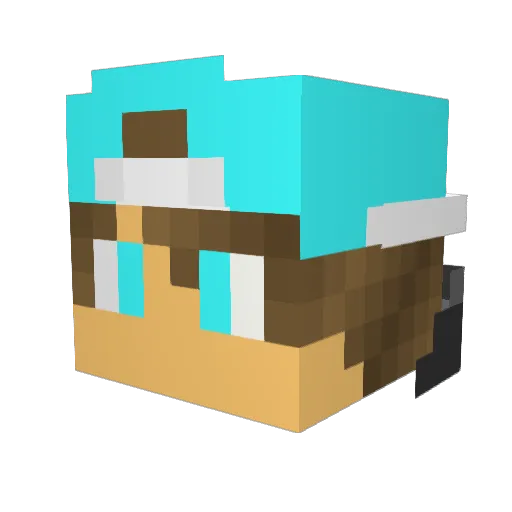JakeyPlayzz Minecraft avatar head, 3D render