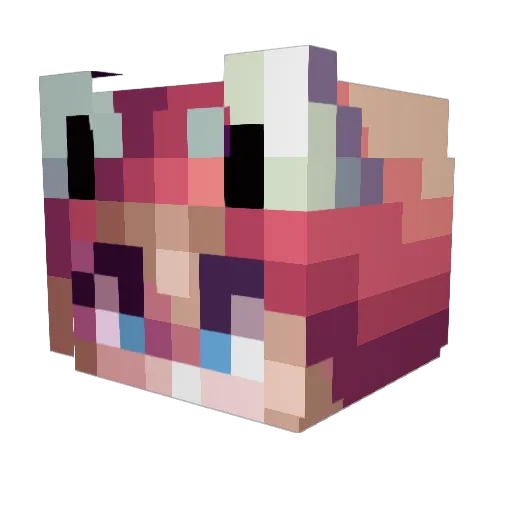 Jakeyboi123 Minecraft avatar head, 3D render