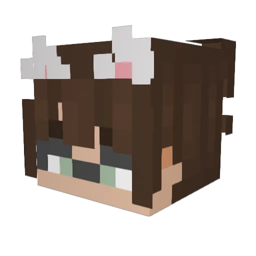 Jakeyboijumpsuit Minecraft avatar head, 3D render