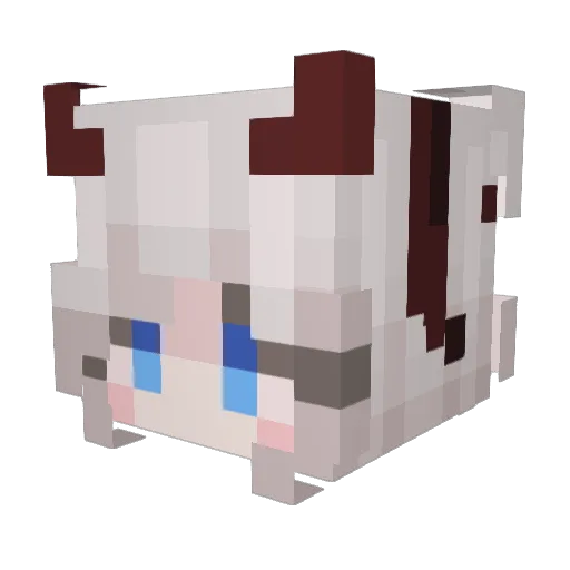Jakeypeg29 Minecraft avatar head, 3D render