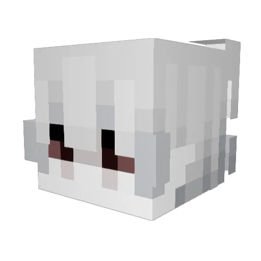 Jakezxd Minecraft avatar head, 3D render