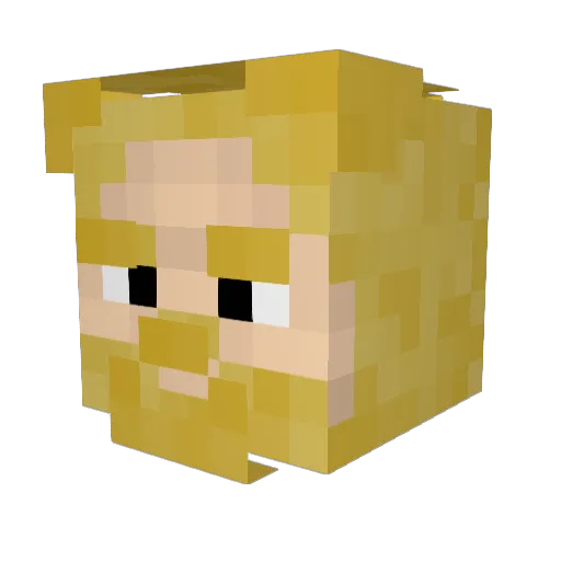 Jakk9891 Minecraft avatar head, 3D render