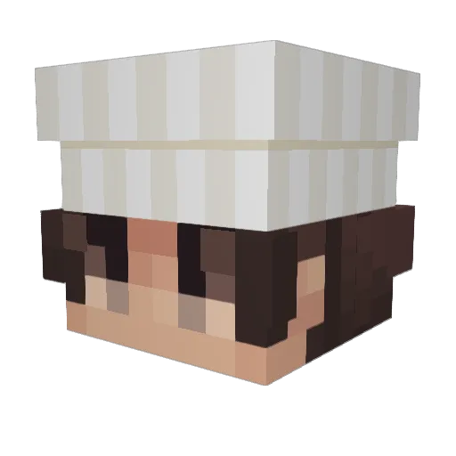 Jakkobthebot Minecraft avatar head, 3D render