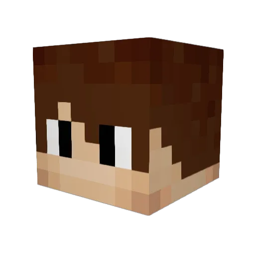 Jakllp33 Minecraft avatar head, 3D render