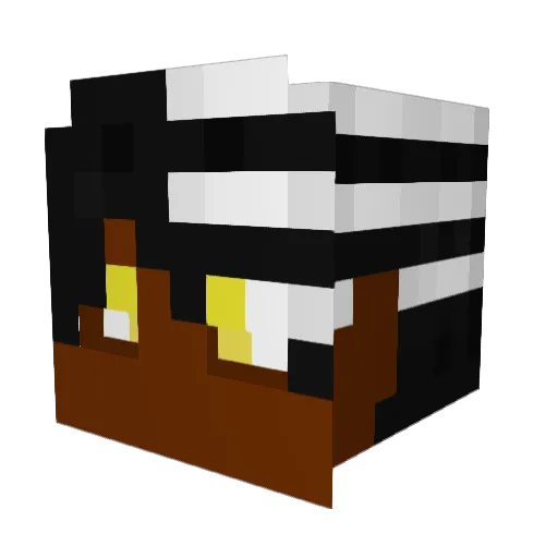 Jakly64 Minecraft avatar head, 3D render