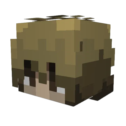 Jako_Fett Minecraft avatar head, 3D render