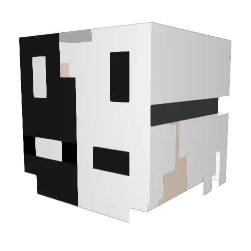 Jakob176 Minecraft avatar head, 3D render