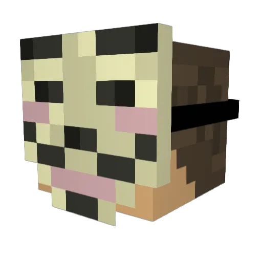 Jakob22099 Minecraft avatar head, 3D render