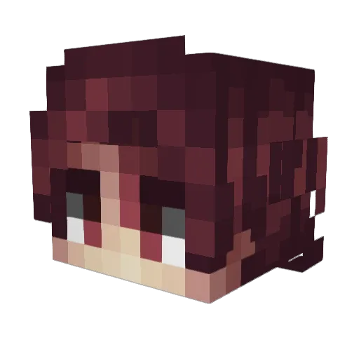 Jakobi013 Minecraft avatar head, 3D render
