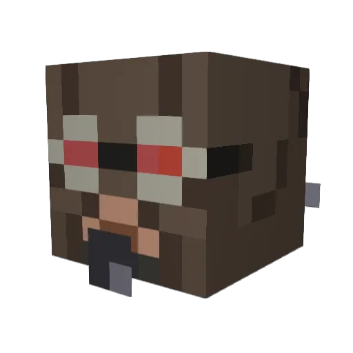 Jakobs_Rep Minecraft avatar head, 3D render