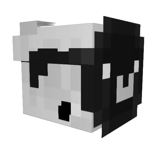 Jakoby102 Minecraft avatar head, 3D render