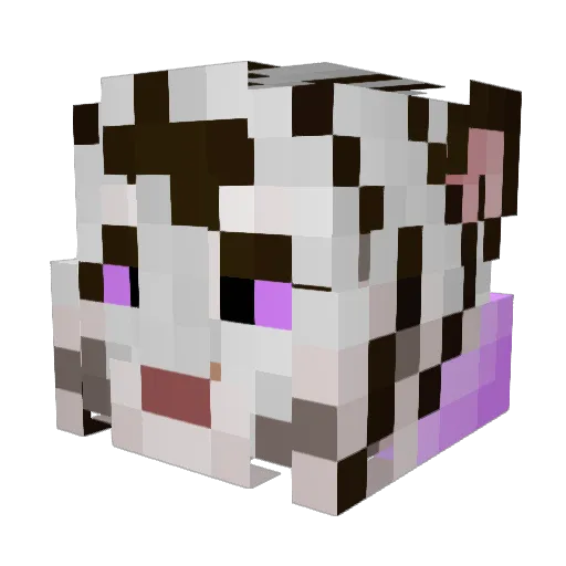 Jakonus303 Minecraft avatar head, 3D render