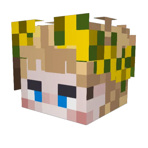 Jakor00 Minecraft avatar head, 3D render