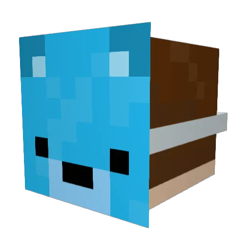 Jakovic Minecraft avatar head, 3D render
