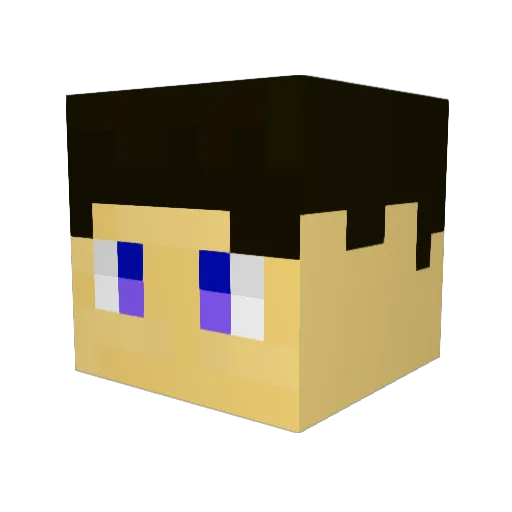 Jakpro55 Minecraft avatar head, 3D render