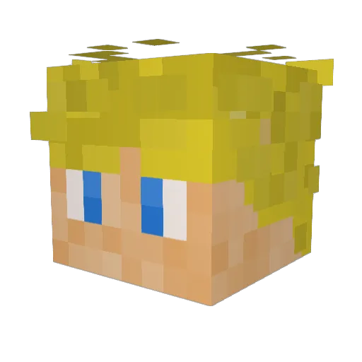 Jakschwa Minecraft avatar head, 3D render