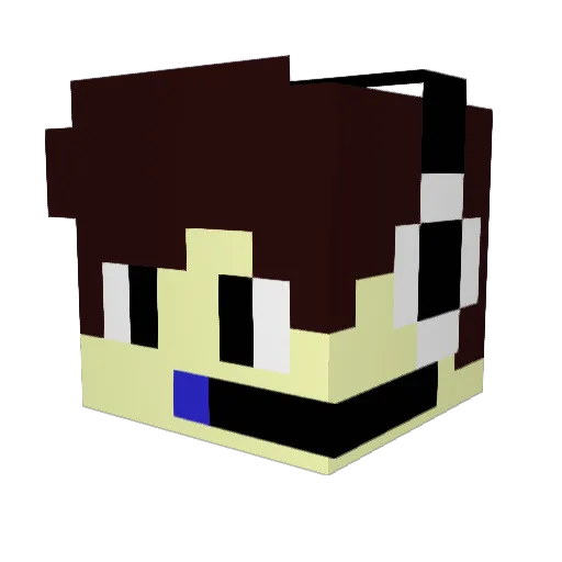 Jaku17 Minecraft avatar head, 3D render