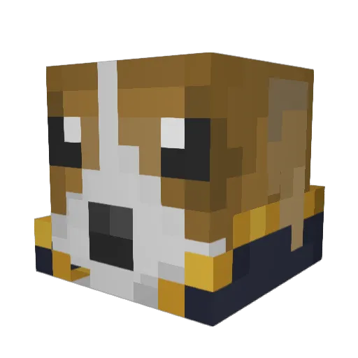 Jakubek173 Minecraft avatar head, 3D render