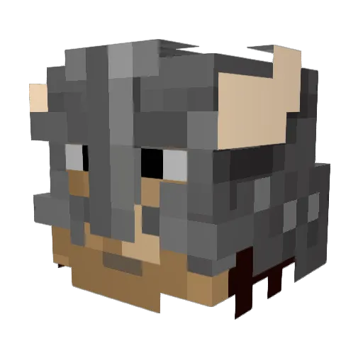 Jakuboski321 Minecraft avatar head, 3D render