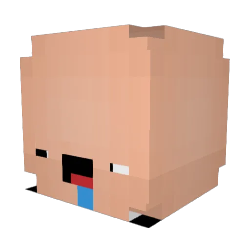 Jakzo Minecraft avatar head, 3D render