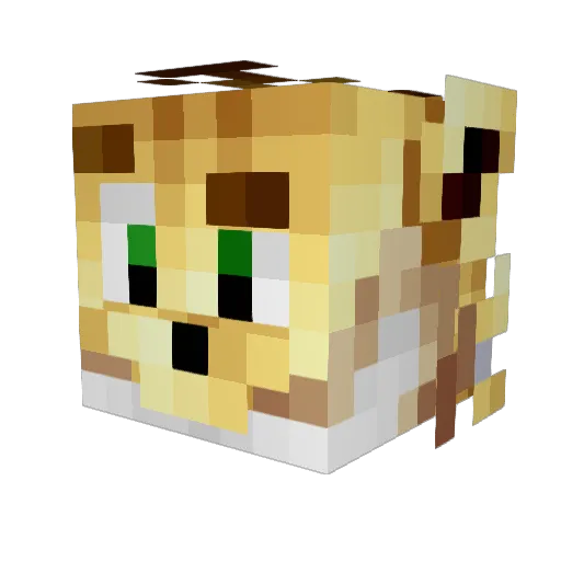 Jalapata Minecraft avatar head, 3D render