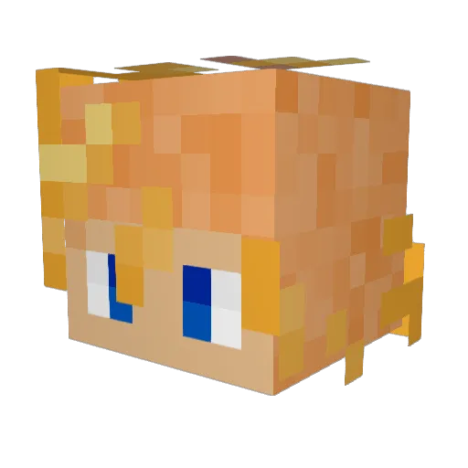 JalenB5 Minecraft avatar head, 3D render