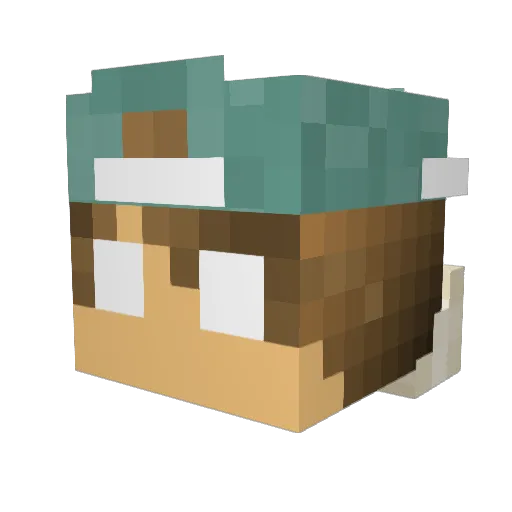 Jalge Minecraft avatar head, 3D render