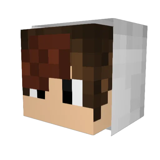 Jali_03 Minecraft avatar head, 3D render