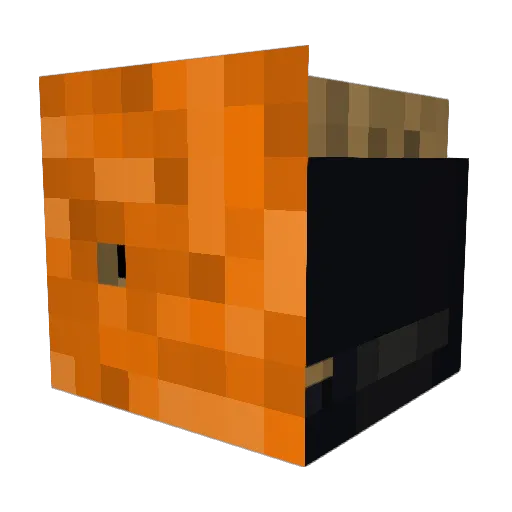 Jalkhe Minecraft avatar head, 3D render