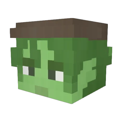 Jalkori Minecraft avatar head, 3D render