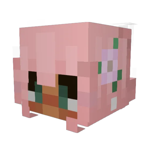 Jallie_Bean Minecraft avatar head, 3D render