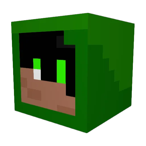 Jalnox Minecraft avatar head, 3D render